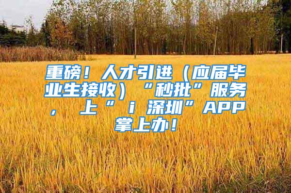 重磅！人才引進(jìn)（應(yīng)屆畢業(yè)生接收）“秒批”服務(wù)， 上“ i 深圳”APP掌上辦！