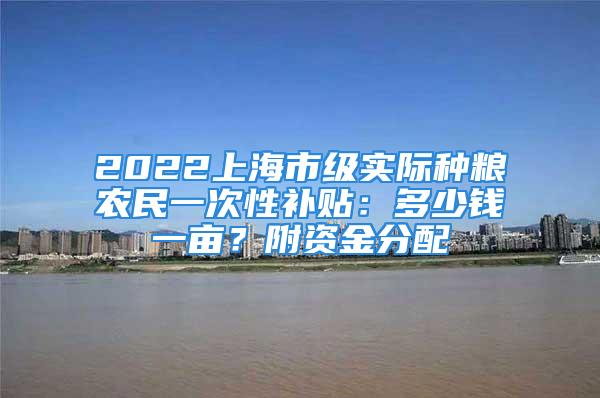 2022上海市級(jí)實(shí)際種糧農(nóng)民一次性補(bǔ)貼：多少錢一畝？附資金分配