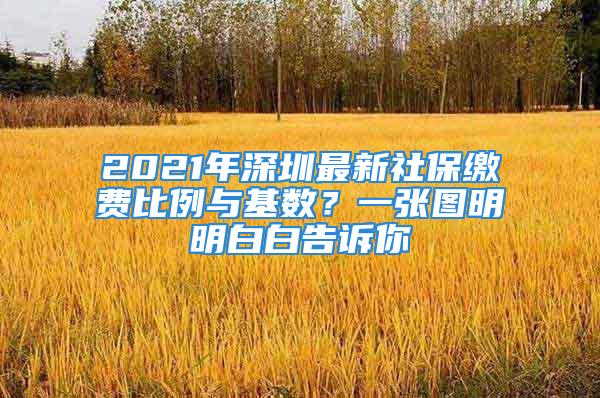 2021年深圳最新社保繳費比例與基數(shù)？一張圖明明白白告訴你