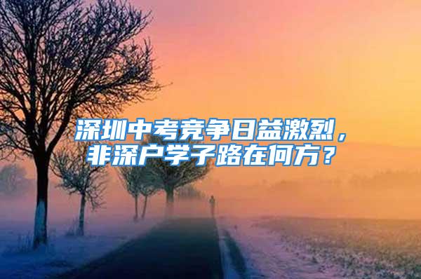 深圳中考競爭日益激烈，非深戶學(xué)子路在何方？