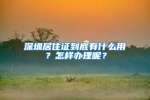 深圳居住證到底有什么用？怎樣辦理呢？