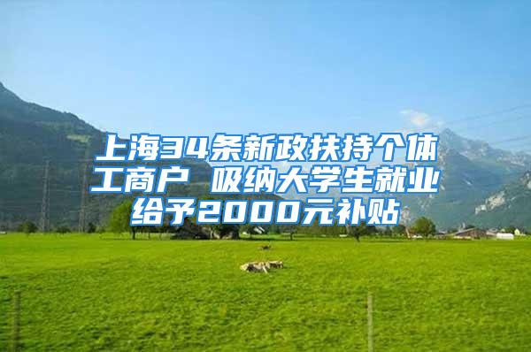 上海34條新政扶持個體工商戶 吸納大學(xué)生就業(yè)給予2000元補(bǔ)貼