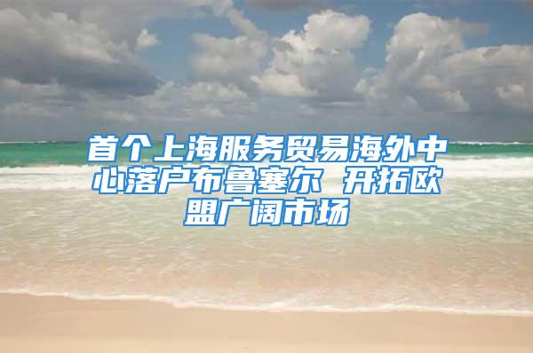 首個(gè)上海服務(wù)貿(mào)易海外中心落戶布魯塞爾 開(kāi)拓歐盟廣闊市場(chǎng)