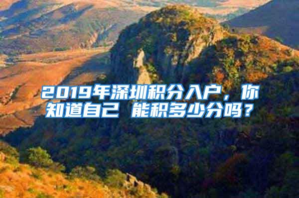 2019年深圳積分入戶，你知道自己 能積多少分嗎？