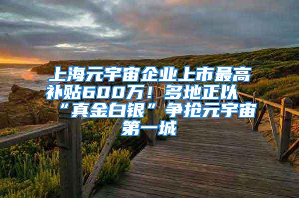 上海元宇宙企業(yè)上市最高補貼600萬！多地正以“真金白銀”爭搶元宇宙第一城