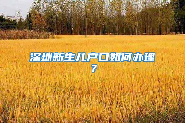 深圳新生兒戶口如何辦理？