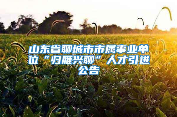 山東省聊城市市屬事業(yè)單位“歸雁興聊”人才引進公告