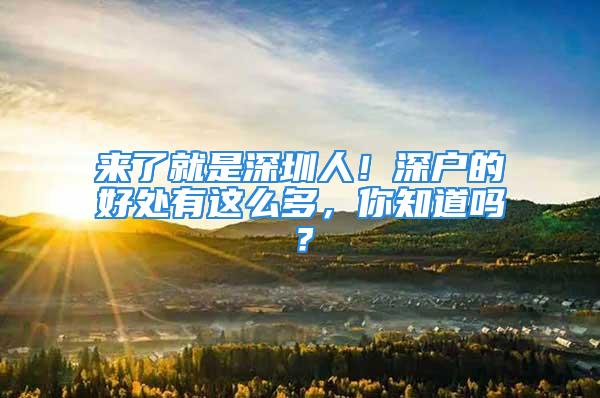 來(lái)了就是深圳人！深戶的好處有這么多，你知道嗎？