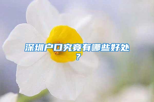 深圳戶(hù)口究竟有哪些好處？