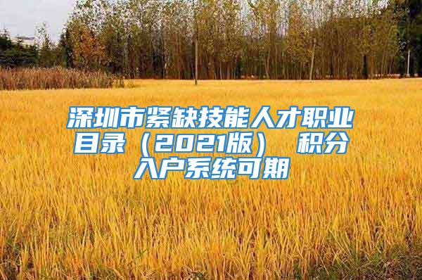 深圳市緊缺技能人才職業(yè)目錄（2021版） 積分入戶系統(tǒng)可期