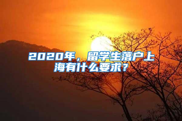 2020年，留學生落戶上海有什么要求？