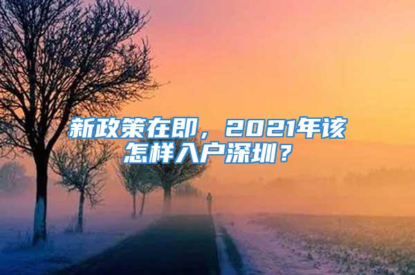 新政策在即，2021年該怎樣入戶深圳？