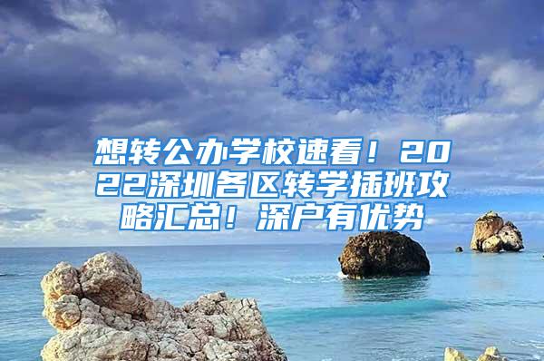 想轉(zhuǎn)公辦學(xué)校速看！2022深圳各區(qū)轉(zhuǎn)學(xué)插班攻略匯總！深戶有優(yōu)勢(shì)