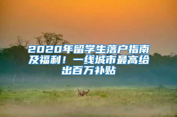 2020年留學(xué)生落戶指南及福利！一線城市最高給出百萬(wàn)補(bǔ)貼