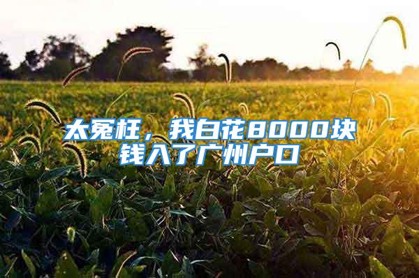 太冤枉，我白花8000塊錢入了廣州戶口