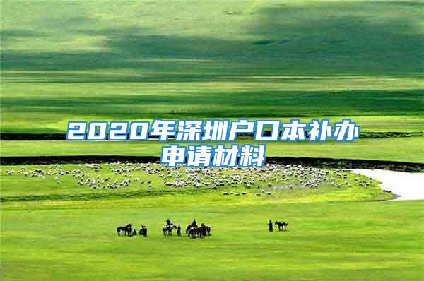 2020年深圳戶口本補辦申請材料