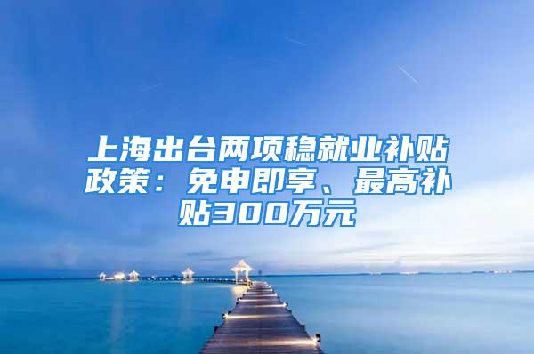 上海出臺兩項穩(wěn)就業(yè)補貼政策：免申即享、最高補貼300萬元