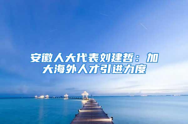 安徽人大代表劉建哲：加大海外人才引進(jìn)力度