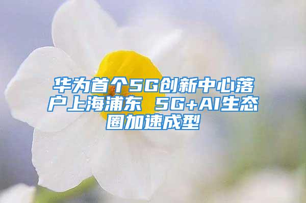 華為首個5G創(chuàng)新中心落戶上海浦東 5G+AI生態(tài)圈加速成型