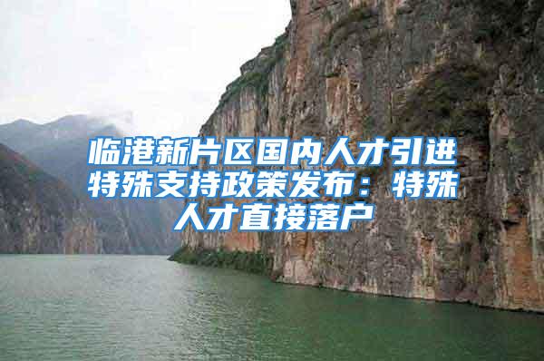 臨港新片區(qū)國內(nèi)人才引進(jìn)特殊支持政策發(fā)布：特殊人才直接落戶