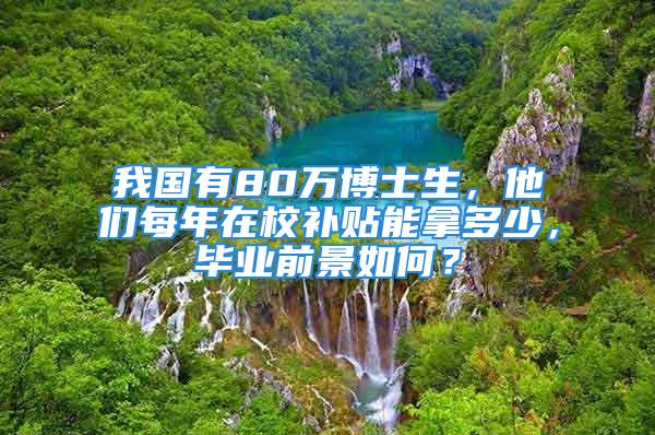 我國有80萬博士生，他們每年在校補貼能拿多少，畢業(yè)前景如何？