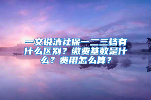 一文說清社保一二三檔有什么區(qū)別？繳費基數(shù)是什么？費用怎么算？