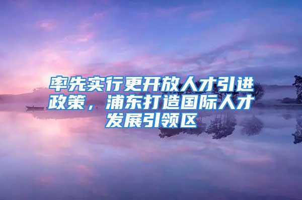 率先實(shí)行更開放人才引進(jìn)政策，浦東打造國際人才發(fā)展引領(lǐng)區(qū)