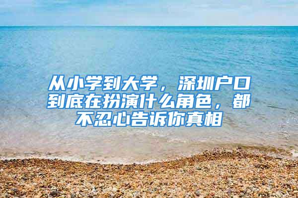 從小學(xué)到大學(xué)，深圳戶口到底在扮演什么角色，都不忍心告訴你真相