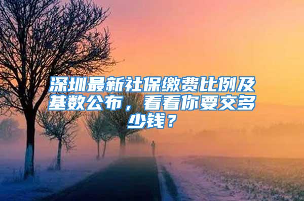 深圳最新社保繳費比例及基數(shù)公布，看看你要交多少錢？