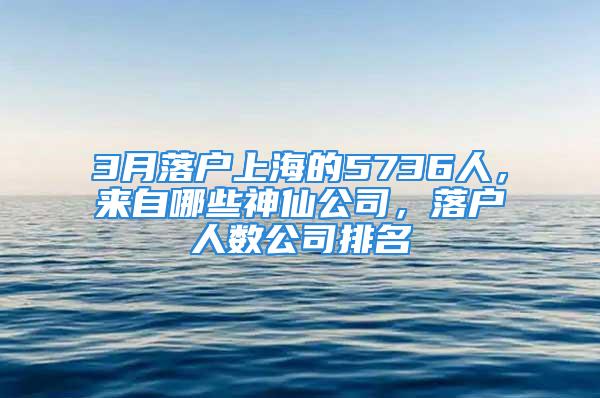 3月落戶上海的5736人，來自哪些神仙公司，落戶人數公司排名