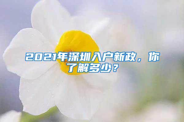 2021年深圳入戶新政，你了解多少？