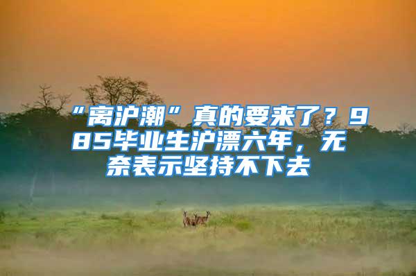 “離滬潮”真的要來了？985畢業(yè)生滬漂六年，無奈表示堅(jiān)持不下去