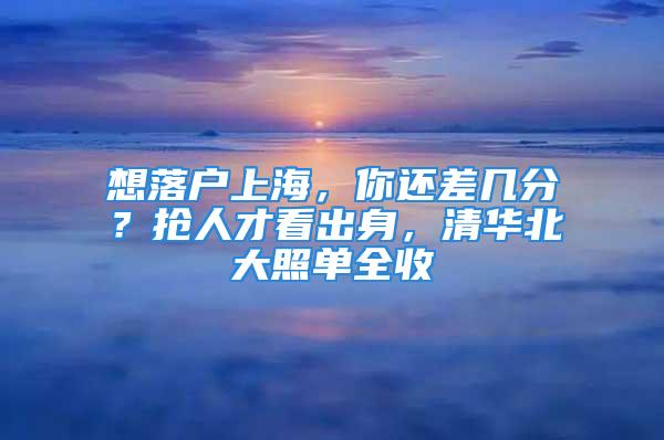 想落戶上海，你還差幾分？搶人才看出身，清華北大照單全收