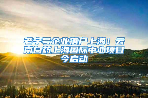 老字號企業(yè)落戶上海！云南白藥上海國際中心項(xiàng)目今啟動