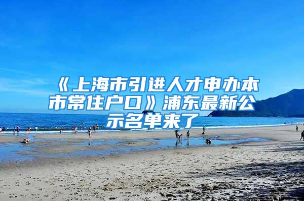 《上海市引進(jìn)人才申辦本市常住戶口》浦東最新公示名單來了