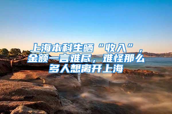 上海本科生曬“收入”，金額一言難盡，難怪那么多人想離開上海