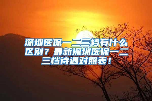 深圳醫(yī)保一二三檔有什么區(qū)別？最新深圳醫(yī)保一二三檔待遇對照表！