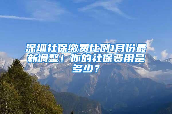 深圳社保繳費比例1月份最新調(diào)整！你的社保費用是多少？