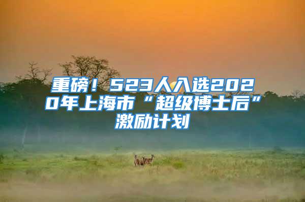 重磅！523人入選2020年上海市“超級(jí)博士后”激勵(lì)計(jì)劃