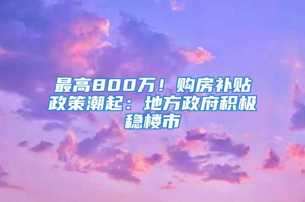 最高800萬！購房補(bǔ)貼政策潮起：地方政府積極穩(wěn)樓市