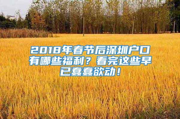 2018年春節(jié)后深圳戶口有哪些福利？看完這些早已蠢蠢欲動！