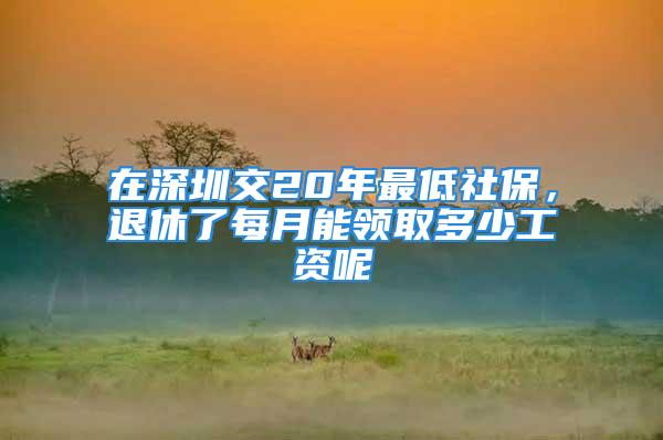 在深圳交20年最低社保，退休了每月能領(lǐng)取多少工資呢