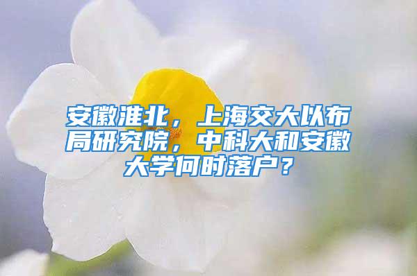 安徽淮北，上海交大以布局研究院，中科大和安徽大學(xué)何時(shí)落戶？