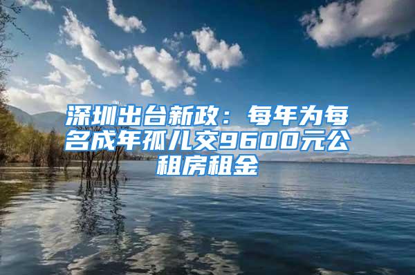 深圳出臺新政：每年為每名成年孤兒交9600元公租房租金