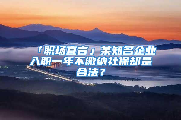 「職場(chǎng)直言」某知名企業(yè)入職一年不繳納社保卻是合法？