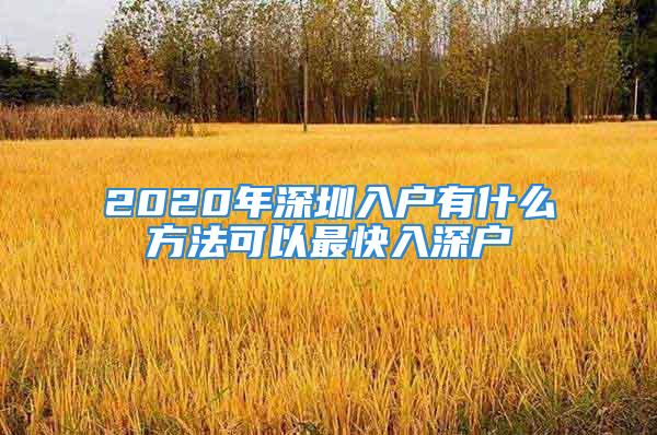 2020年深圳入戶有什么方法可以最快入深戶