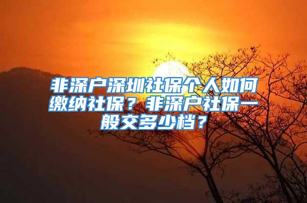 非深戶深圳社保個(gè)人如何繳納社保？非深戶社保一般交多少檔？