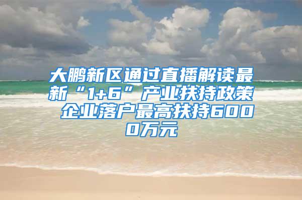 大鵬新區(qū)通過直播解讀最新“1+6”產(chǎn)業(yè)扶持政策 企業(yè)落戶最高扶持6000萬元