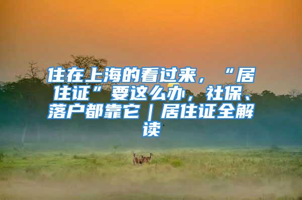 住在上海的看過來，“居住證”要這么辦，社保、落戶都靠它｜居住證全解讀