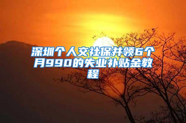 深圳個人交社保并領(lǐng)6個月990的失業(yè)補貼金教程